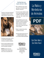 Rabies Brochure - Spanish