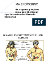 Sistema Endocrino