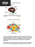 La Neurociencia y El Cerebro de La Mujer