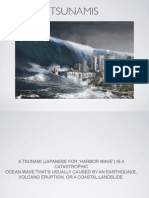 Tsunami PDF