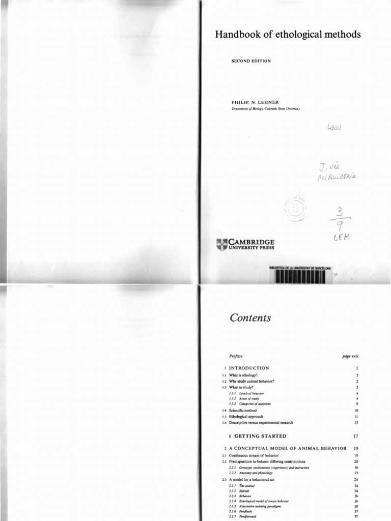 Goneryl ما بين متزامنة Bape License Plate Frame Thenonsensediary Com