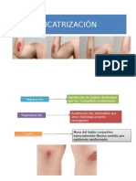 CICATRIZACIÓN