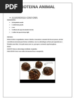 Proteaìƒæ’-Na Animal (Carnes)