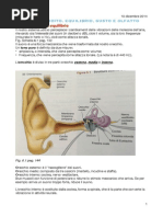 Cap. 6 - I sensi