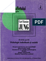  Jung Puterea Sufletului 3 Psihologie Individuala Si Sociala Ed