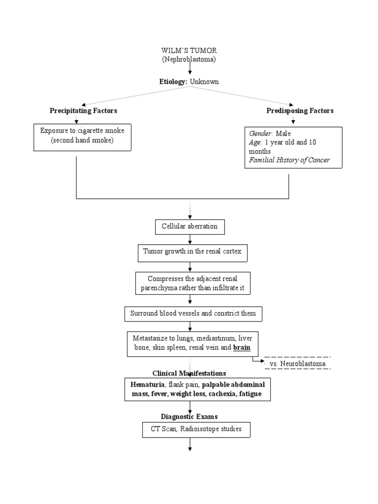 Wilms Tumor Pathophysiology Overview | PDF