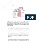 Anatomi Fisiologi Paru.doc