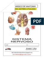 Anatomia Sistema Nervoso