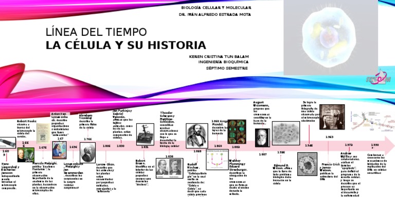 Línea Del Tiempo La Célula Y Su Historia
