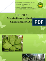 Grupo #3 Metabolismo Acido de Las: Crasuláceas (CAM)
