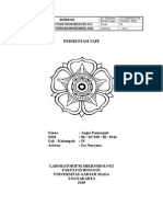 Fermentasi Tape