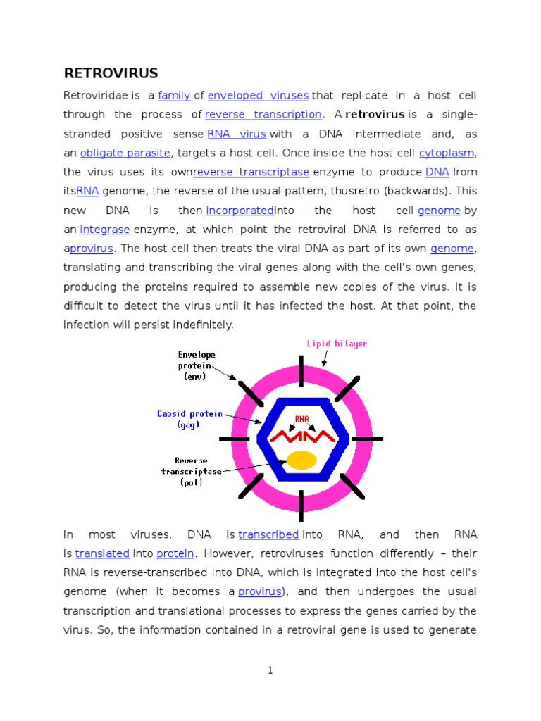 Retroviruse Retrovirus Cell Biology