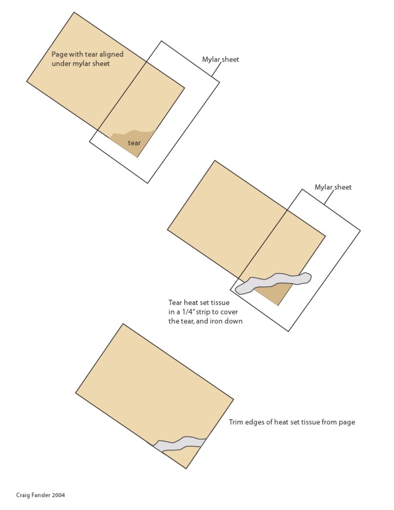 How To Repair A Torn Page | PDF