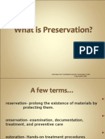 What Is Preservation?