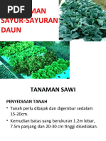 Download Tanaman sayur daun by naufara SN27718478 doc pdf