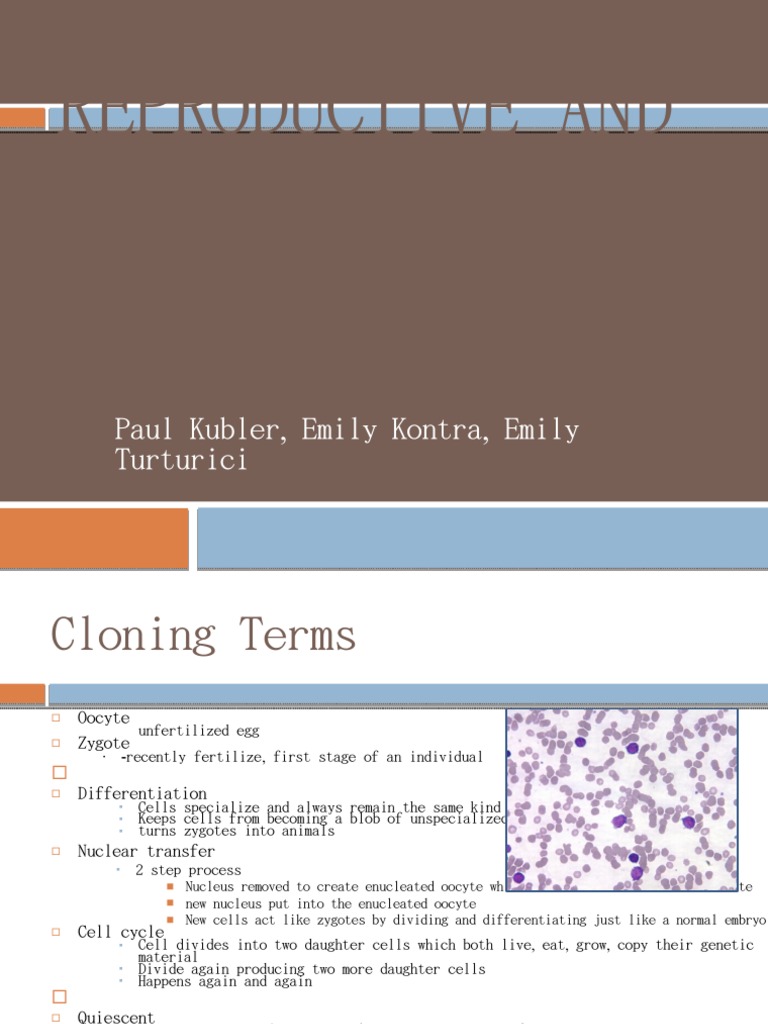 Human cloning debate image