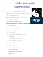 Programa de Taller Magnétoterapia PDF