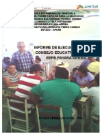 Informe de Ejecucion Del Plan de Accion Del Consejo Educativo.eepb Payara Arriba.