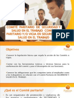 COPASO - Positiva 2009 (29 Diapositivas)