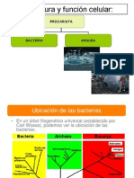 Estructura y Función Bacterial