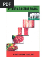 Pecuária da carne bovina