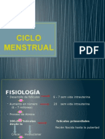 Ciclo Menstrual Final
