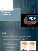 Enfermedad Vascular Cerebral
