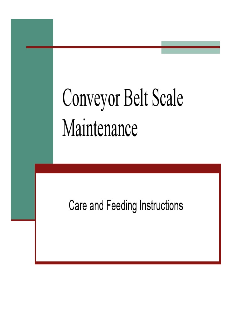 Conveyor Belt Scale Maintenance Guide | PDF | Belt (Mechanical) | Weight