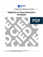 CIED PDVSA - Registros en Hoyo Desnudo y Entubado