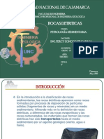 Capitulo IV-rocas Dentríticas