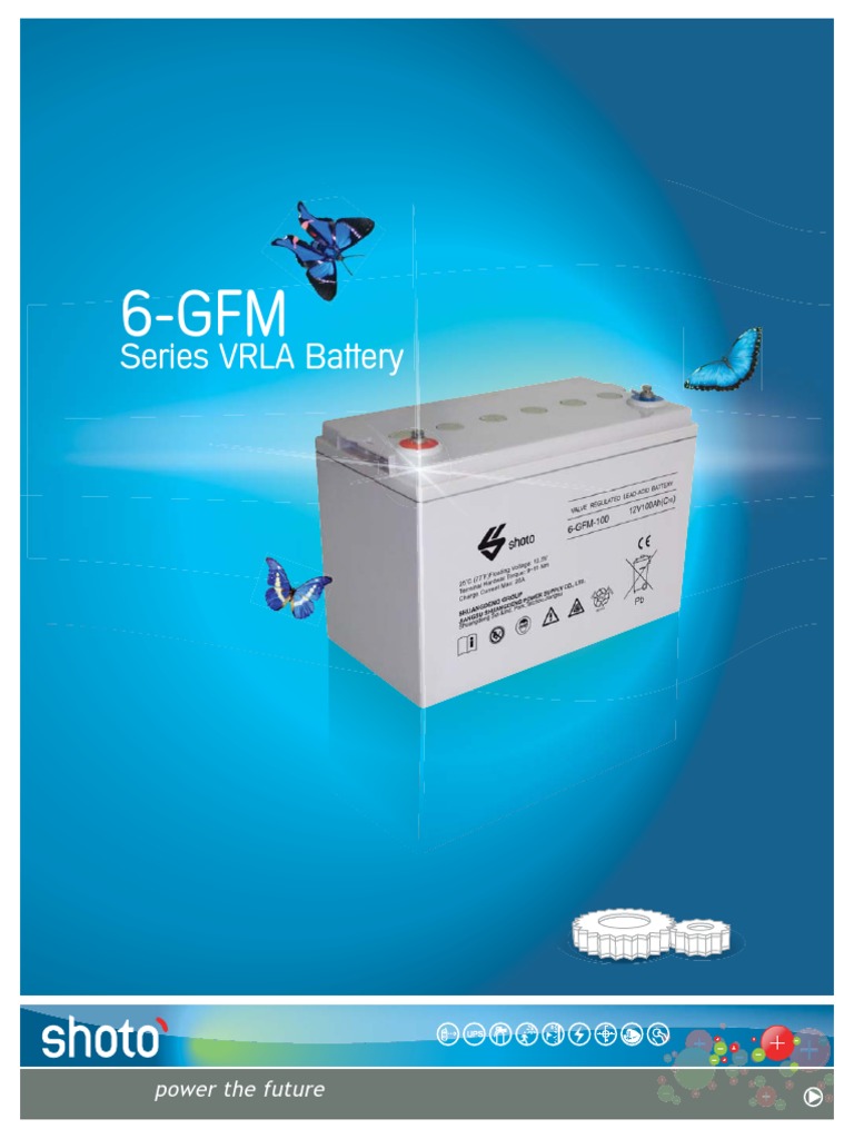 6 gfm 170f аккумулятор