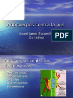 Anticuerpos Contra La Piel