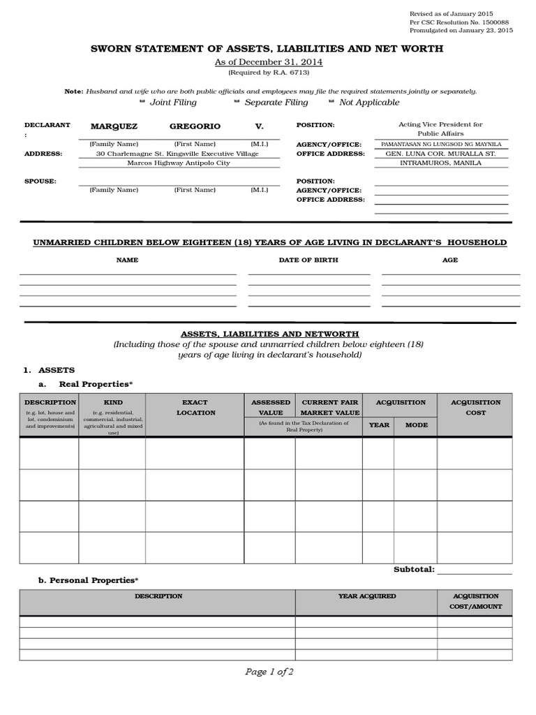 SALN Form Blank Net Worth Social Institutions