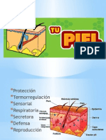 Piel