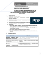 Especialista Ambiental - Direecion PDF