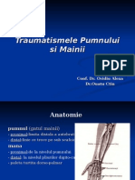 Traumatismele Pumnului Si Mainii - Dr.ouatu Constantin