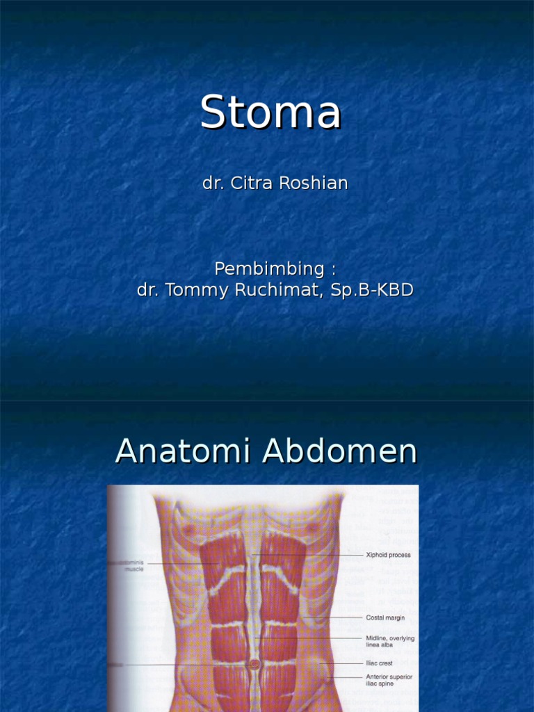 Colostomy Pdf Large Intestine Abdomen