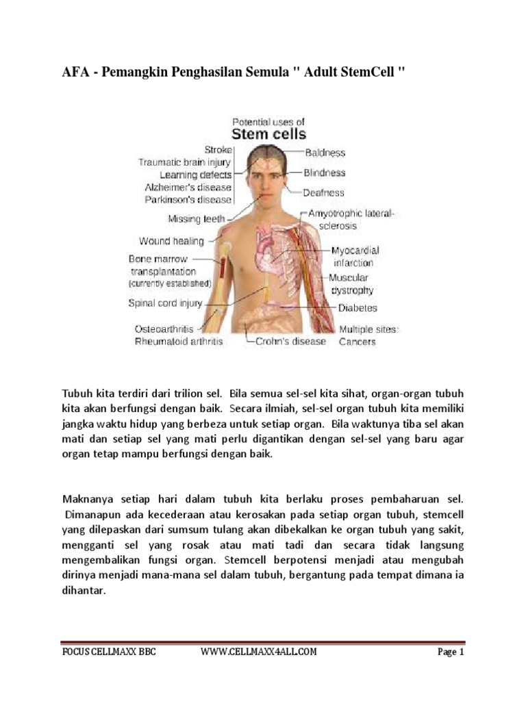 Cellmaxx Afa Pdf