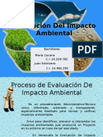 Evaluación Del Impacto Ambiental