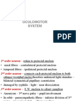 Occulomotor System PDF