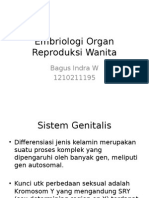 Embriologi Organ Reproduksi Wanita