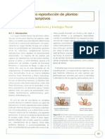 6 Biologia de La Reproduccion de Plantas, Aspectos Descriptivos