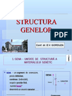 Curs 3 MG Structura Genei