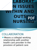 Collaboration Issues Within and Outside Nursing