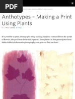 Anthotype Recipe Cheat Sheet | PDF | Beetroot | Coffee