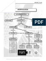 5to Año - Lenguaje - Mrfología de las palabras