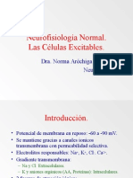 Neurofisiología Normal