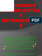 Individuos Homocigotas y Heterocigotas