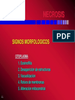 1.Necrosis Diapos