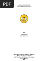 Download laporan praktikum biologi sel molekuler  by biowan2509 SN27755968 doc pdf